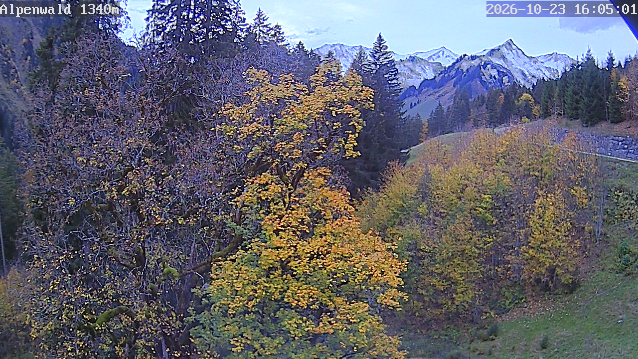 Bild: Gasthof Alpenwald